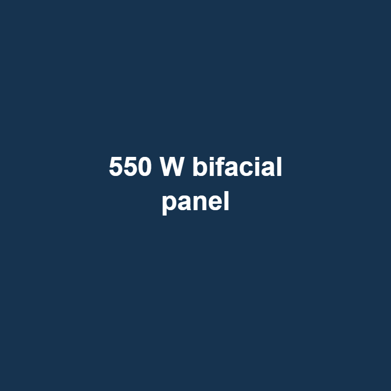 550 W Bifacial Solar Panel (demo product photo)